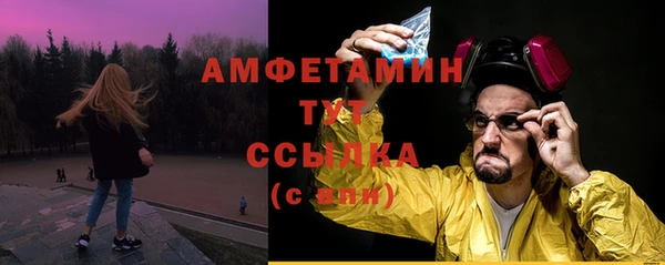 сатива Баксан