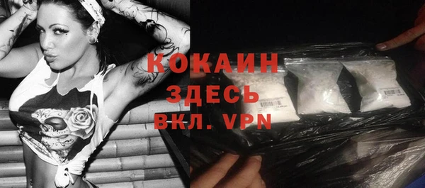 сатива Баксан