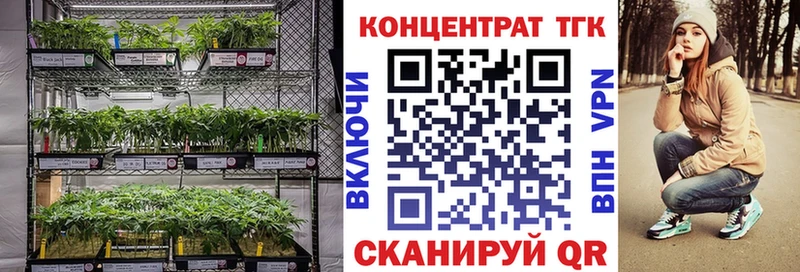 ТГК концентрат  Городовиковск 